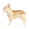 Hello Honey® 3" Multicolor French Bulldog Jeweled Trinket Box
